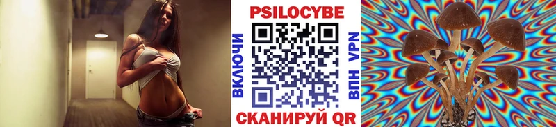 Галлюциногенные грибы Psilocybe  Купить  Заречный 